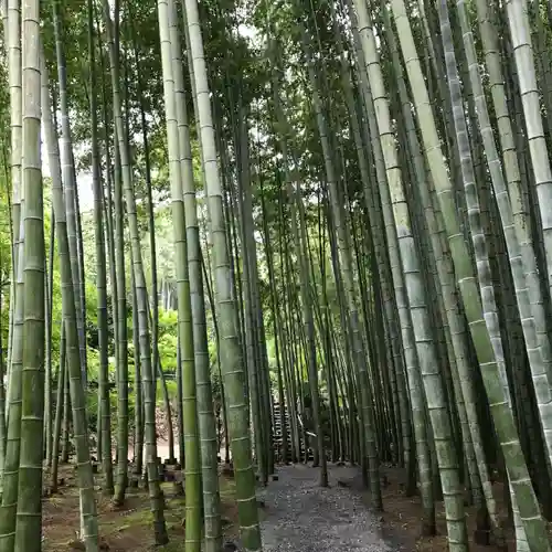 詩仙堂（丈山寺）の自然