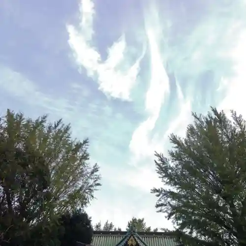 牛嶋神社の自然