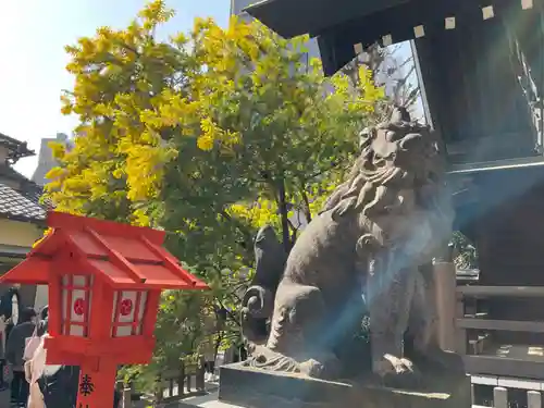 蔵前神社の狛犬