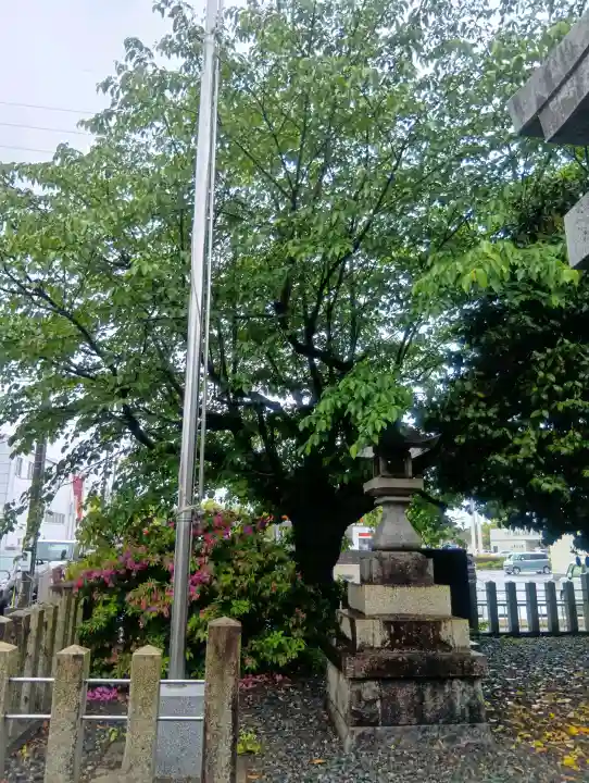 白山神社の{uncategorized: "未分類", other: "その他", undefined: "問題あり", building: "その他建物", grave: "お墓", sacred_gate: "鳥居", guardian: "狛犬", statue: "像", buddha: "仏像", history: "歴史", nature: "自然", garden: "庭園", animal: "動物", pagoda: "塔", temizu: "手水舎", mountain_gate: "山門・神門", sanctuary: "本殿・本堂", subordinate: "末社・摂社", art: "芸術", scenery: "景色", jizo: "地蔵", ema: "絵馬", goshuin: "御朱印", omikuji: "おみくじ", items: "授与品その他", amulet: "お守り", goshuincho: "御朱印帳", eats: "食事", festival: "お祭り", votive_dance: "神楽", shichigosan: "七五三参", wedding: "結婚式", experience: "体験その他", initially: "初詣", around: "周辺", anti_infection: "感染症対策"}