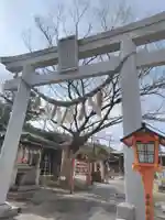 久里浜天神社の鳥居