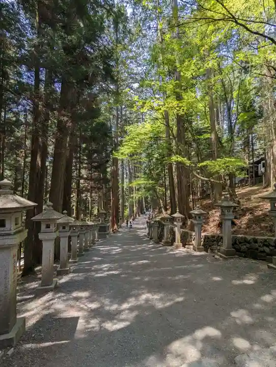 三峯神社(埼玉県)