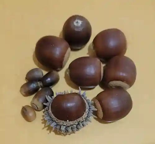 木野山神社(愛媛県)