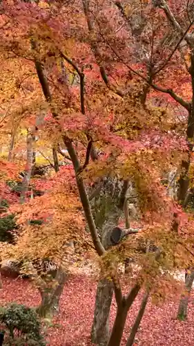 圓光寺(京都府)