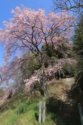 熊野神社の自然