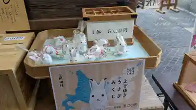 上川神社のおみくじ