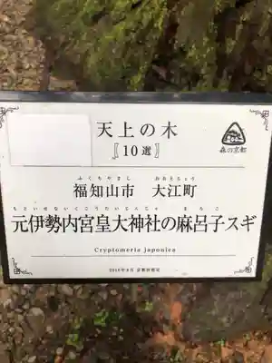 元伊勢内宮 皇大神社(京都府)