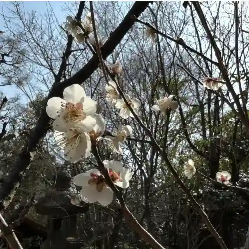 清水稲荷の{uncategorized: "未分類", other: "その他", undefined: "問題あり", building: "その他建物", grave: "お墓", sacred_gate: "鳥居", guardian: "狛犬", statue: "像", buddha: "仏像", history: "歴史", nature: "自然", garden: "庭園", animal: "動物", pagoda: "塔", temizu: "手水舎", mountain_gate: "山門・神門", sanctuary: "本殿・本堂", subordinate: "末社・摂社", art: "芸術", scenery: "景色", jizo: "地蔵", ema: "絵馬", goshuin: "御朱印", omikuji: "おみくじ", items: "授与品その他", amulet: "お守り", goshuincho: "御朱印帳", eats: "食事", festival: "お祭り", votive_dance: "神楽", shichigosan: "七五三参", wedding: "結婚式", experience: "体験その他", initially: "初詣", around: "周辺", anti_infection: "感染症対策"}