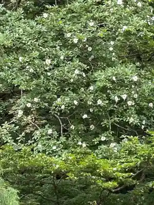 国上寺(新潟県)