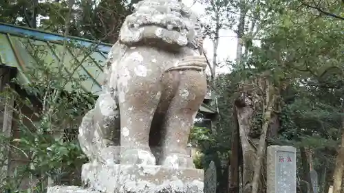橘樹神社の狛犬