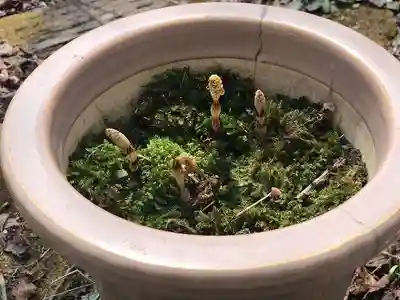 木舟山　順教寺(広島県)