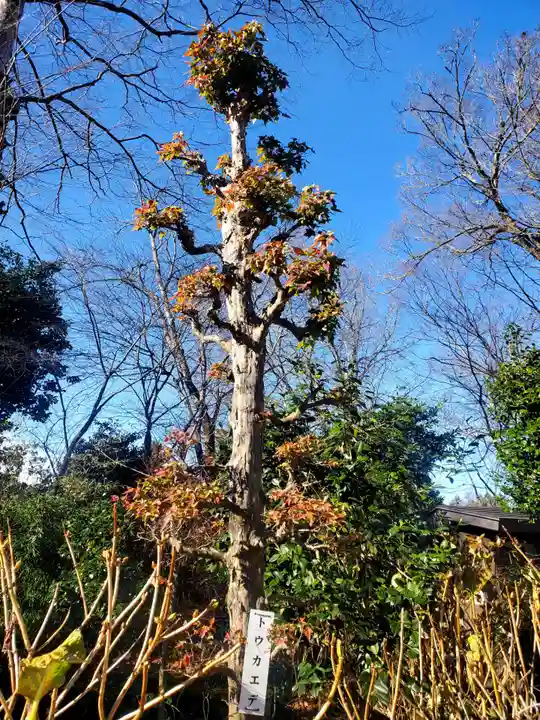 石都々古和気神社(福島県)