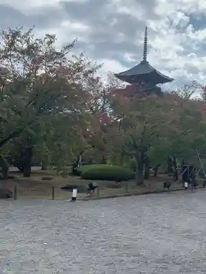 東寺（教王護国寺）(京都府)