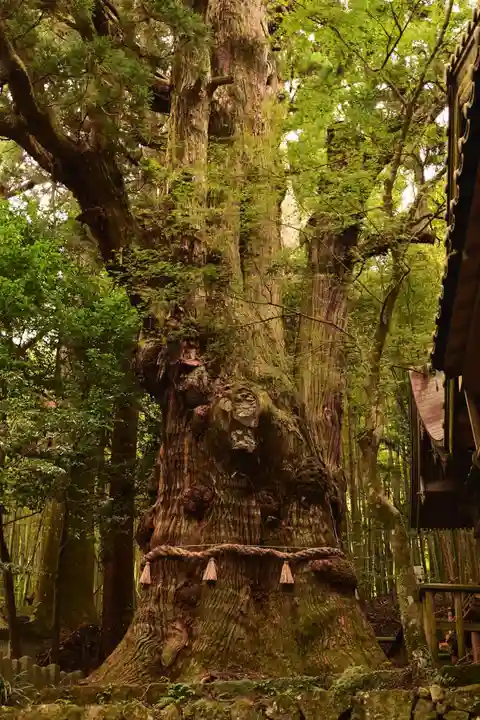 大杵社(大分県)