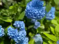 白石神社(北海道)