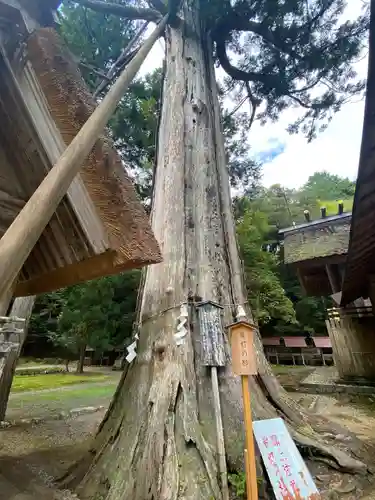 元伊勢内宮 皇大神社(京都府)