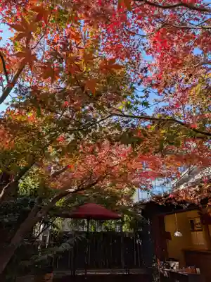 陽運寺(東京都)