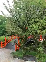 賀茂御祖神社（下鴨神社）(京都府)