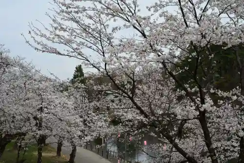 蒼柴神社(新潟県)