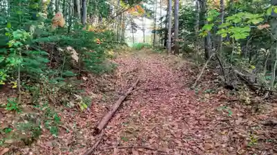 沼崎神社の周辺