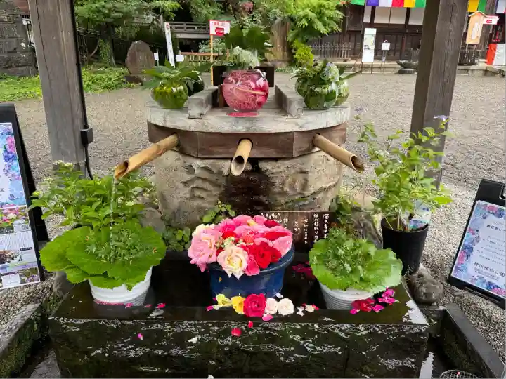 深大寺(東京都)