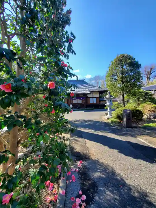 興聖寺(栃木県)