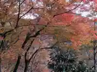 高山寺(京都府)