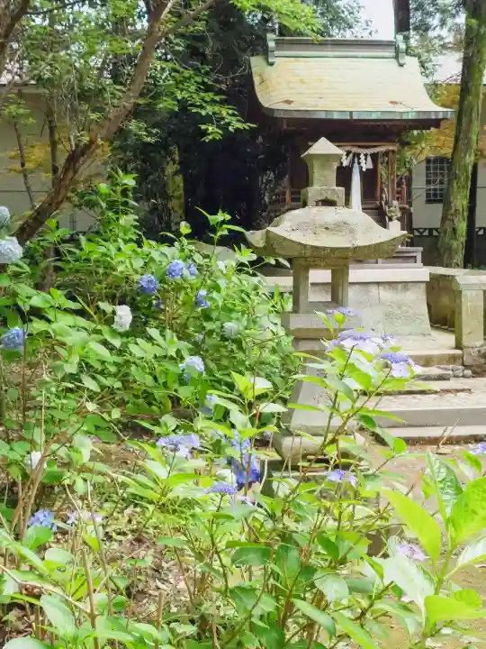 新宮八幡神社(兵庫県)