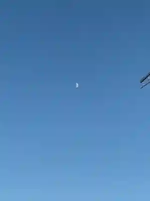 田縣神社(愛知県)