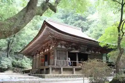 室生寺の本殿・本堂