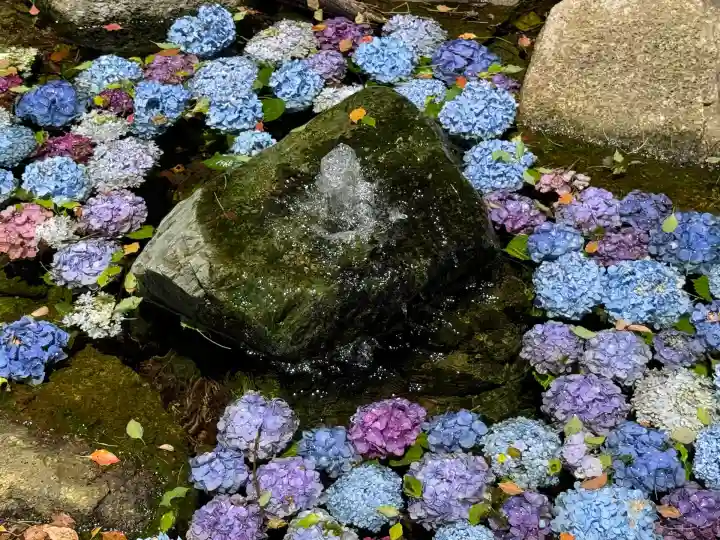 武蔵一宮氷川神社(埼玉県)