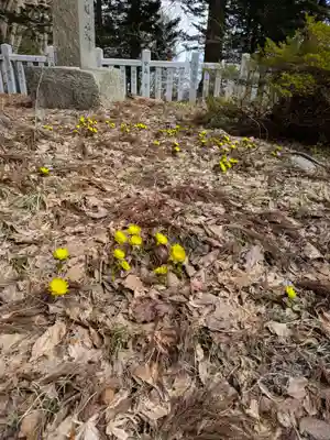 函館八幡宮(北海道)