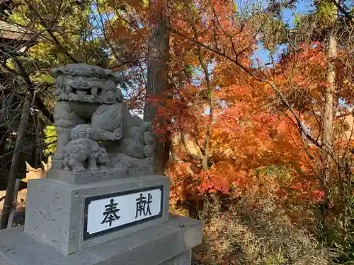 出雲大社会津分霊社の狛犬