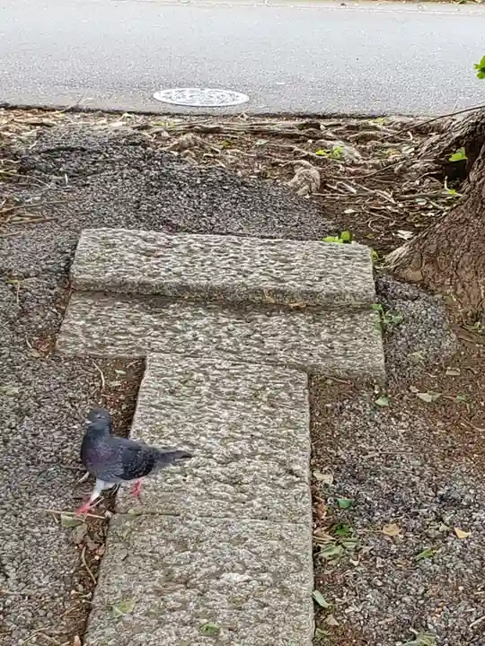 愛宕神社の動物