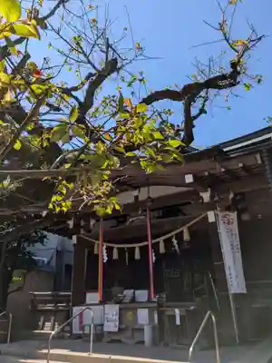 鳩森八幡神社(東京都)