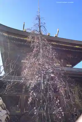 湯島天満宮(東京都)