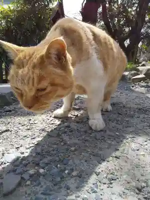 勧学寺(三重県)
