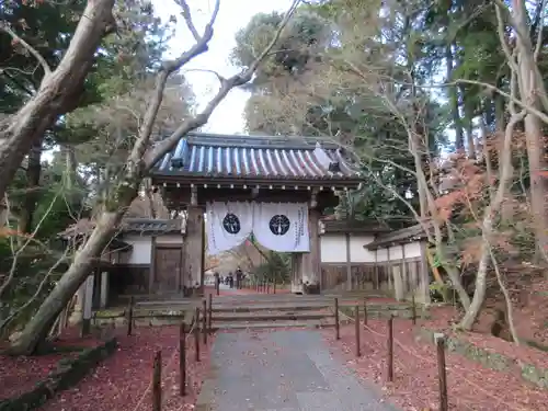 光明寺（粟生光明寺）の山門