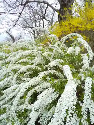 星田妙見宮(大阪府)
