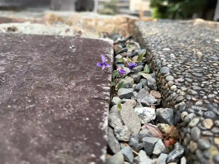 西方山極楽寺(岐阜県)