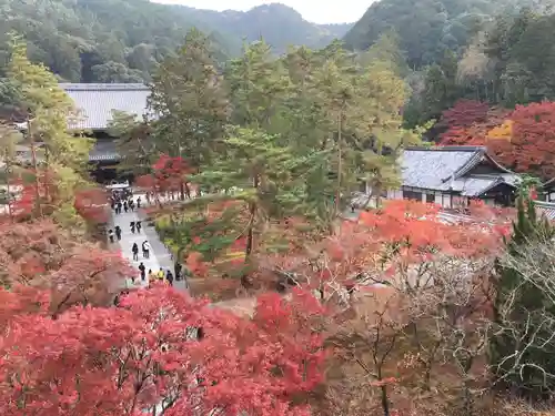 南禅寺の景色