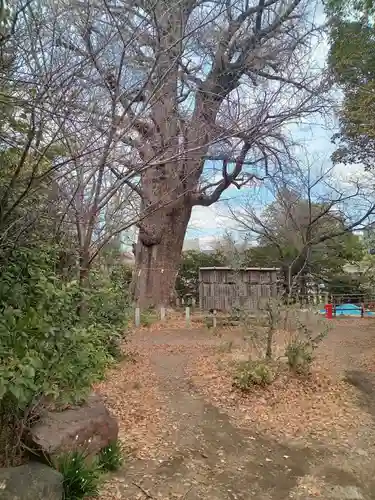 芝東照宮(東京都)