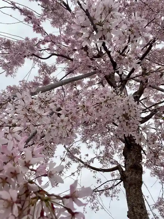 實相寺(実相寺) (京都府)