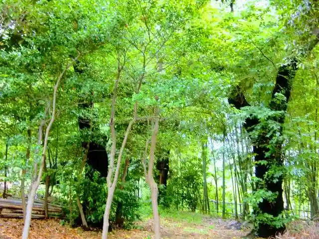 高田天満宮の周辺