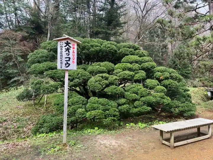 達谷西光寺の自然