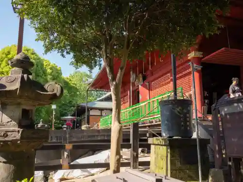 清水観音堂(東京都)