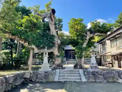 八坂大神(神奈川県)