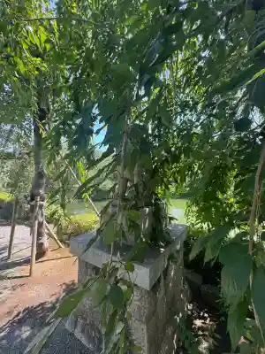 三嶋大社(静岡県)