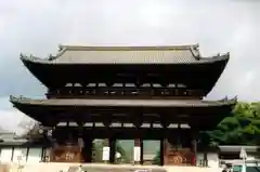 仁和寺の山門