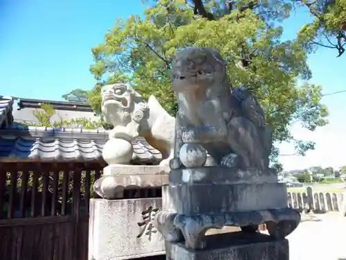 春日神社の狛犬